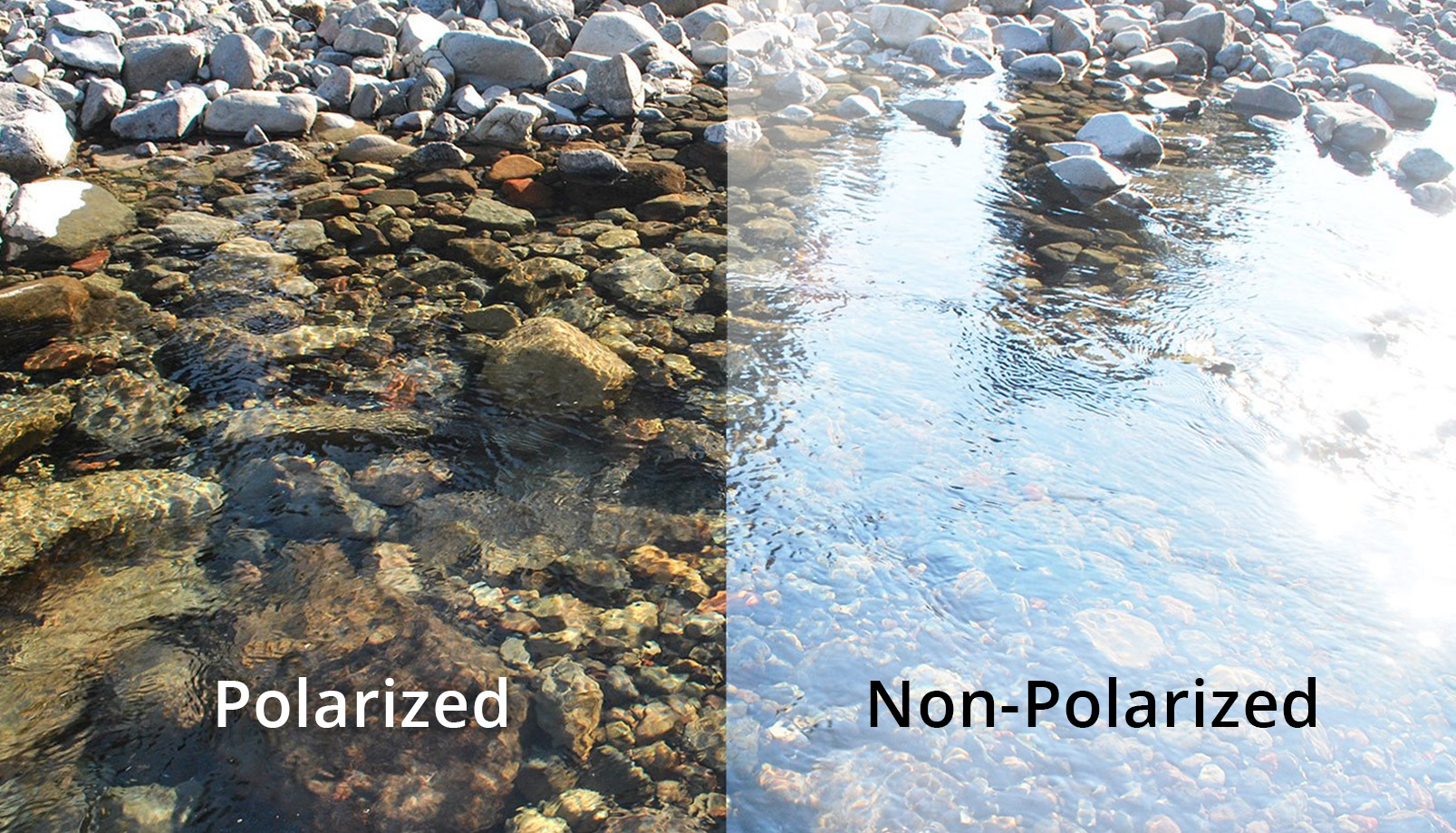 polarized sunglasses water